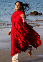 Lawn Collection - Zara Shahjahan - Spring Summer 24 - ZSJ24#12A