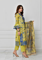 Lawn Collection - Norans - Eid - Festive - NPEC-PR 12