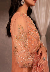 Formal Collection - Maria Osama Khan - Dastaan - DS#02 - Aarzoo