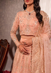 Formal Collection - Maria Osama Khan - Dastaan - DS#04 - Roshan