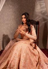 Formal Collection - Maria Osama Khan - Dastaan - DS#04 - Roshan