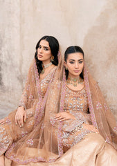 Formal Collection - Ramsha - Wedding - H#209