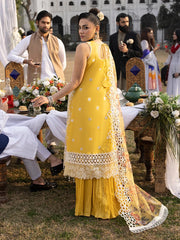 Lawn Collection - Mahnur - Mahrukh - MM24#05-B - Delia