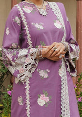 Winter Collection - Elaf - Luxury - EKW#6 - ROSHNI