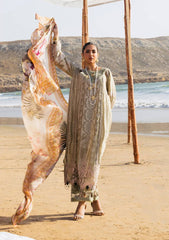 Lawn Collection - Elaf Premium - Hai Kuch - EK24#08 - Pur Shokh
