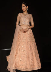 Formal Collection - Rang Rasiya - Chatoyer - Wedding - D#09 - ELENA