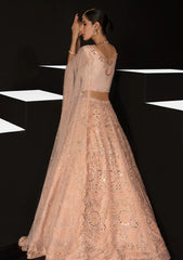 Formal Collection - Rang Rasiya - Chatoyer - Wedding - D#09 - ELENA