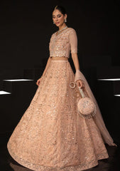 Formal Collection - Rang Rasiya - Chatoyer - Wedding - D#09 - ELENA