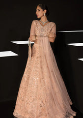 Formal Collection - Rang Rasiya - Chatoyer - Wedding - D#09 - ELENA