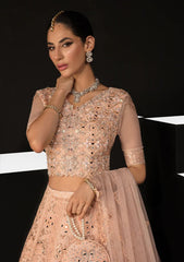 Formal Collection - Rang Rasiya - Chatoyer - Wedding - D#09 - ELENA