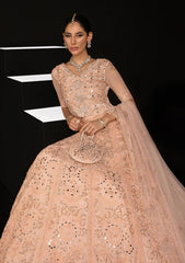 Formal Collection - Rang Rasiya - Chatoyer - Wedding - D#09 - ELENA