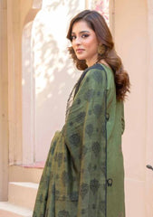 Winter Collection - Bin Rashid - Brali - BRB24#05