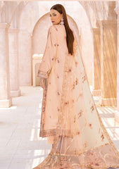 Winter Collection - Mah'e Rooh - Rivaaj - MR24#1214