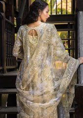 Formal Collection - Mushq - Roohi - MR24#108 - Riya