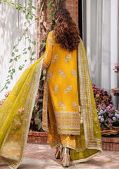 Formal Collection - Akbar Aslam - Mastani - ASM24#1498 - Rohi