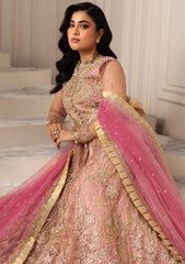 Formal Collection - Mushq - Hemline - Aura Debut - Wedding - MSQ24#08 - Amaranth