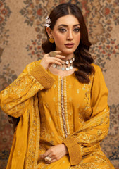 Winter Collection - Johra - Grazia - Karandi - JGK24#148