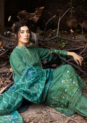 Winter Collection - Sobia Nazir - Fall Edit 24 - SF24#4A