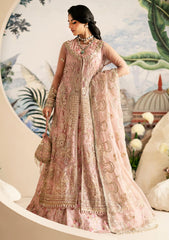 Formal Collection - Alif - Inayat - Festive Formals - AFF24#01 - Begonia