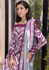 Winter Collection - Asifa & Nabeel - Gulbahar - GBW#02