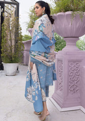 Winter Collection - Asifa & Nabeel - Gulbahar - GBW#06