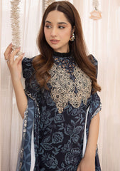 Winter Collection - Asifa & Nabeel - Gulbahar - GBW#11