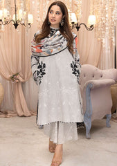 Winter Collection - Asifa & Nabeel - Gulbahar - GBW#12