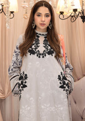 Winter Collection - Asifa & Nabeel - Gulbahar - GBW#12