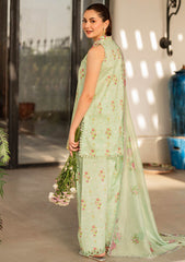Lawn Collection - Asifa & Nabeel - Meraki Summer Vol 2 - AM24#11 - Gul-e-Rana