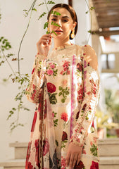 Lawn Collection - Asifa & Nabeel - Meraki Summer Vol 2 - AM24#09 - Gulabo