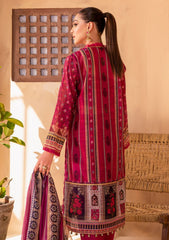 Silk Collection - Zoya N Fatima - Afshan - Zimil - 4PC