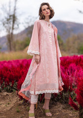 Lawn Collection - Mushq - Hemline - The Secret Garden - MH#1A