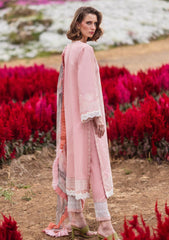 Lawn Collection - Mushq - Hemline - The Secret Garden - MH#1A