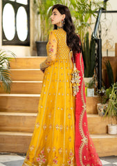 Formal Collection - Imrozia - Jhalak - 182 - AAFREEN