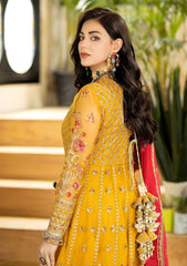Formal Collection - Imrozia - Jhalak - 182 - AAFREEN