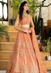 Formal Collection - Imrozia - Jhalak - 185 - SAYOONE