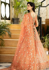 Formal Collection - Imrozia - Jhalak - 185 - SAYOONE