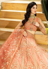 Formal Collection - Imrozia - Jhalak - 185 - SAYOONE