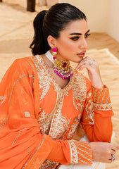 Formal Collection - Mashq - Sejal - Chiffon - ORIOLE (QS23-506)