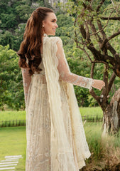 Formal Collection - Saad Shaikh - Luminous - OAI