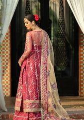 Wedding Collection - Avyana - Surmaya - Kashish - D#16