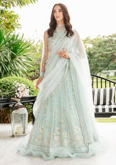 Formal Collection - Saad Shaikh - Luminous - AAILA