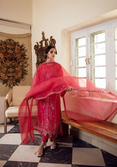 Winter Collection - Gisele - Kahani - PINK MELLOW