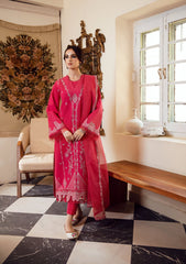 Winter Collection - Gisele - Kahani - PINK MELLOW