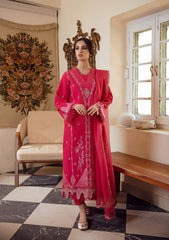 Winter Collection - Gisele - Kahani - PINK MELLOW