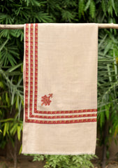 Pashmina Emb Palu Border Shawl D - 05 - Brown