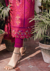 Lawn Collection - Bin Ilyas - Naqsh - D#4A - KIRAZ