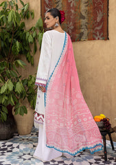 Lawn Collection - Awwal - Kastoori - Chikankari - AKC#8