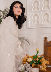Lawn Collection - Bin Ilyas - Naqsh - D#5B - LAIRA