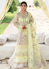 Formal Collection - Declare - Phul Motiya Da - LFU#10 - NARGIS